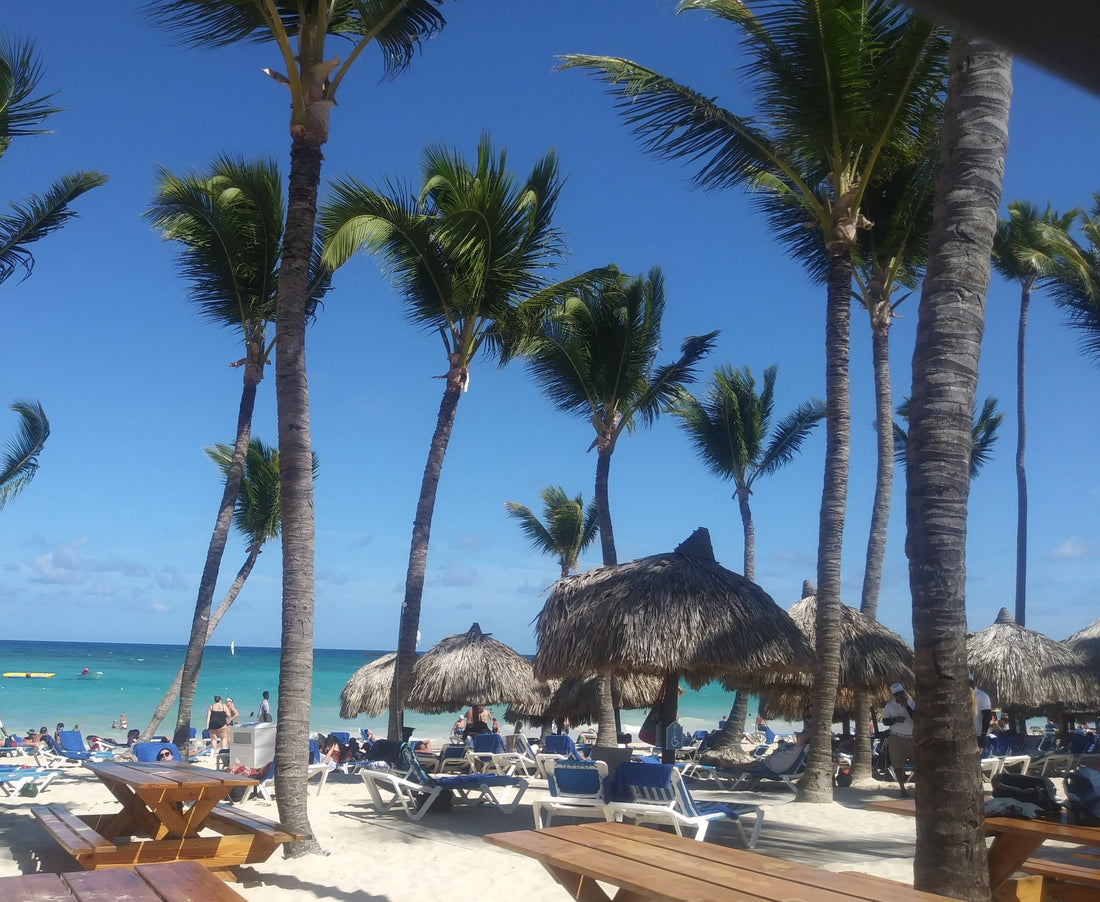 12 Lessons – Life in the Time of Coronavirus