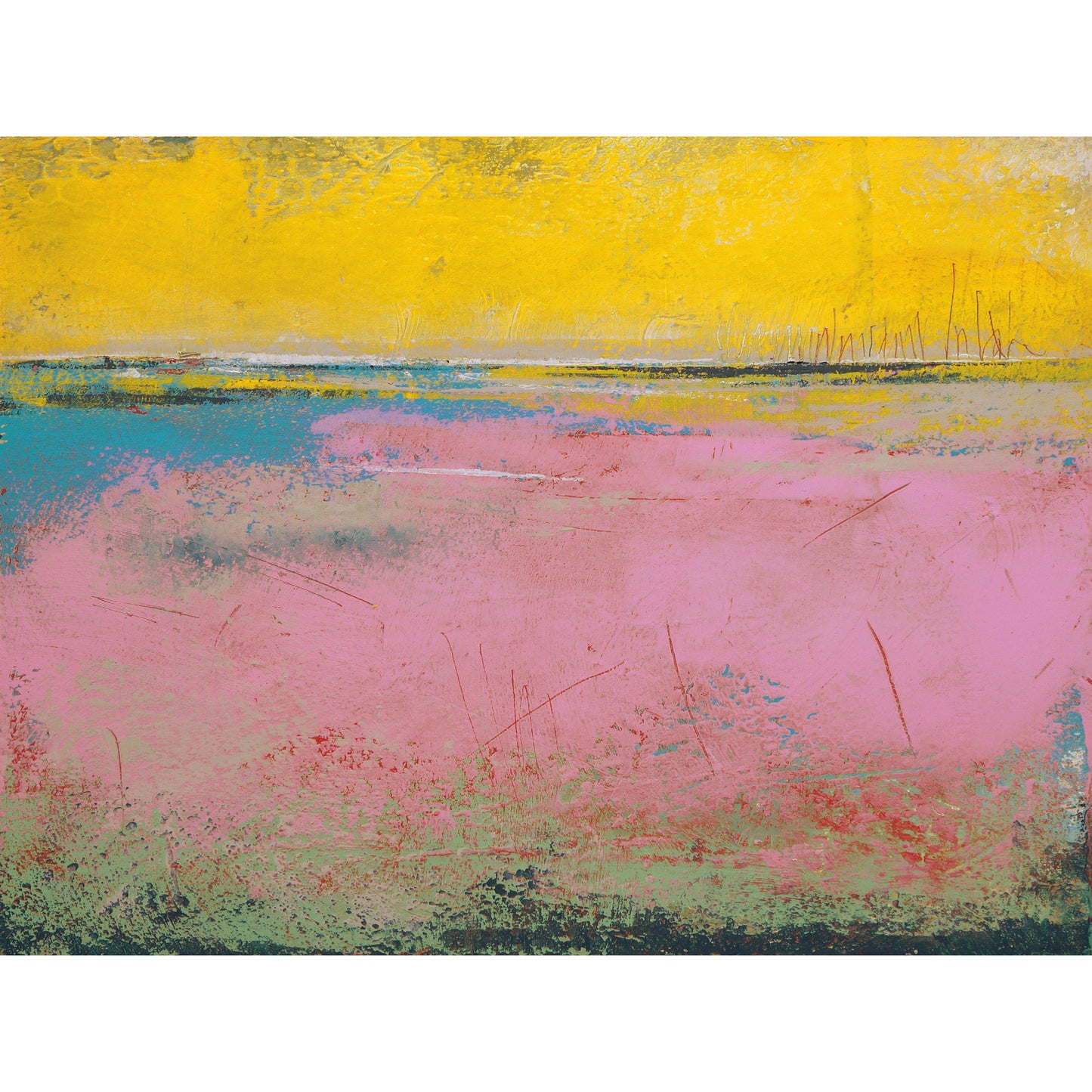 Flamingo Coast