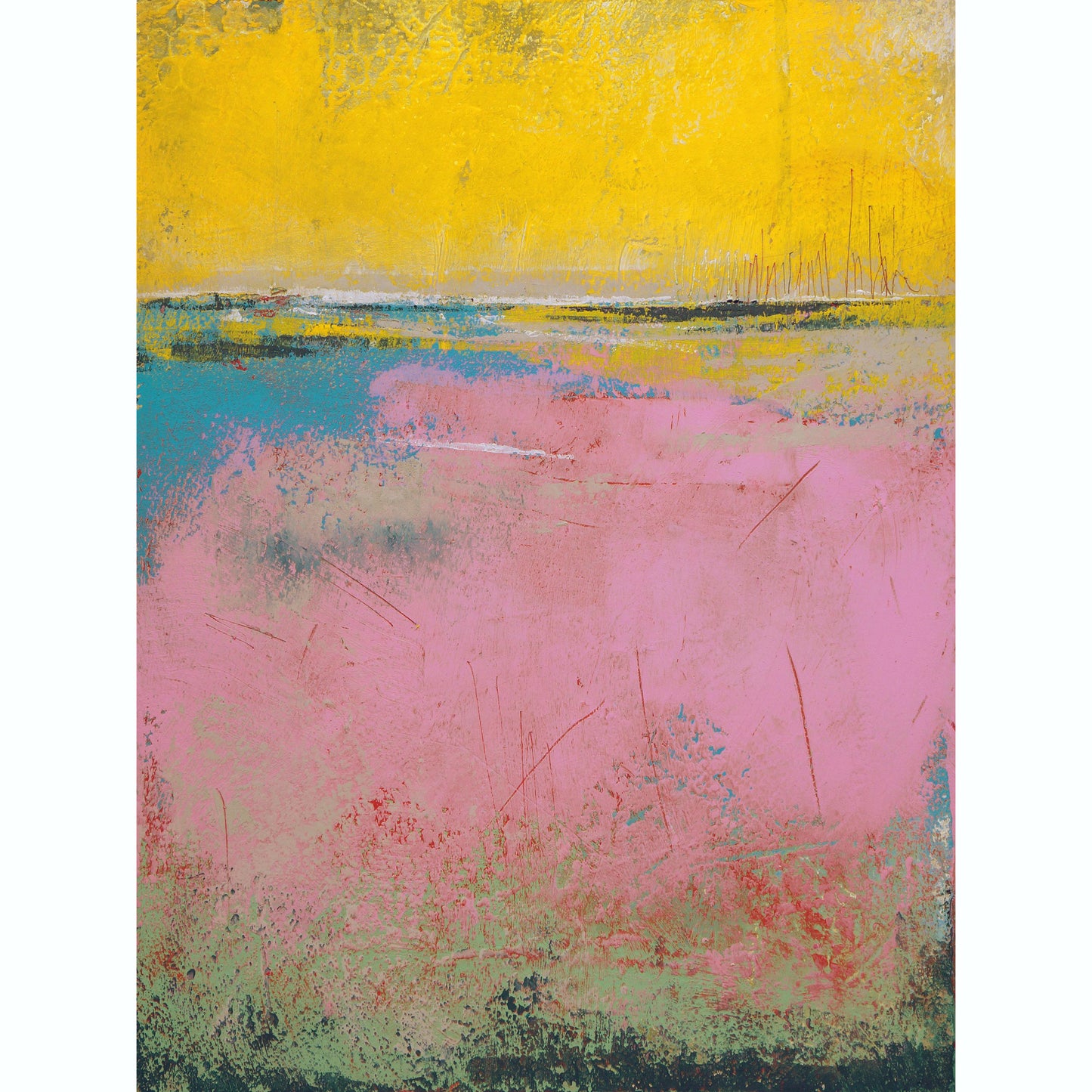 Flamingo Coast